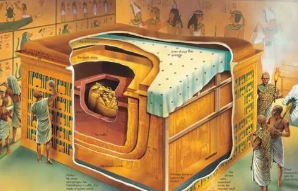 ͼ̹���ɼ�鳤ɶ�� �Ű���ͼ̹���ɻƽ����ͼƬ