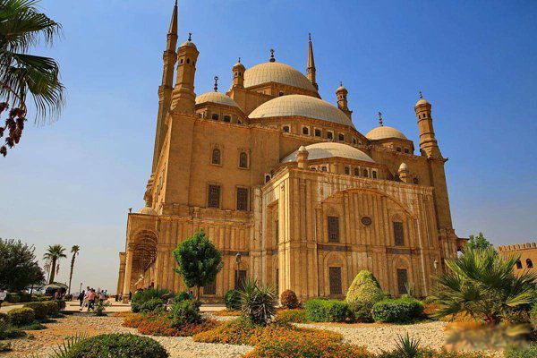 �Ű����ж�ֲ� ʮ�����ؿֲ��¼���֪����