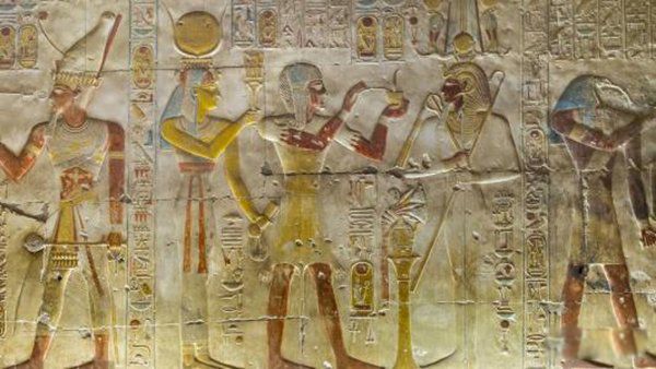 �Ű����ж�ֲ� ʮ�����ؿֲ��¼���֪����