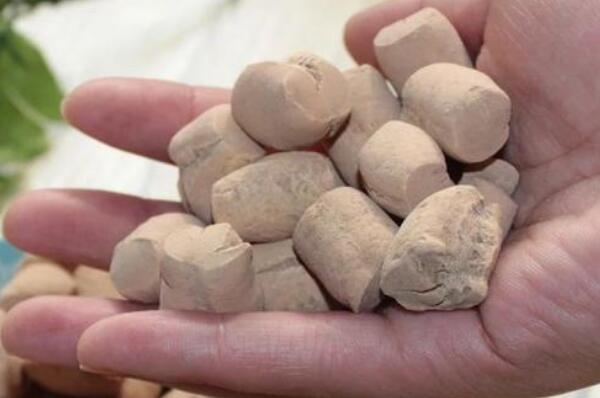 ��������ͼƬ��ɶ ��ʲô����ΪΪʲô�ܳ�