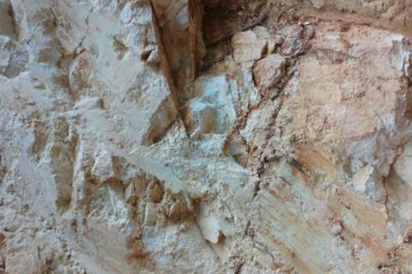 ��������ͼƬ��ɶ ��ʲô����ΪΪʲô�ܳ�