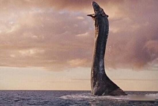 千年巨蟒蛇王活的有多大 古墓发现千年巨蟒图片