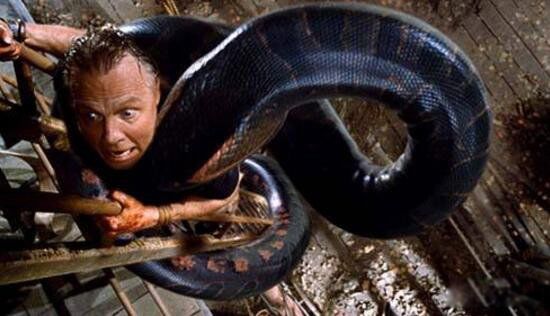 千年巨蟒蛇王活的有多大 古墓发现千年巨蟒图片