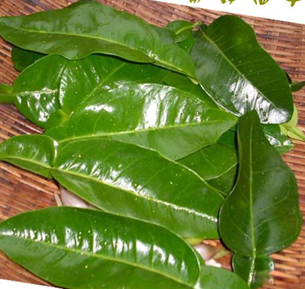 ��а�Ķ�������Щ�Ƚ����� ��а��������10�ֶ���