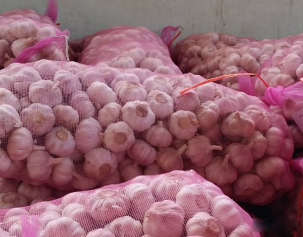 ��а�Ķ�������Щ�Ƚ����� ��а��������10�ֶ���