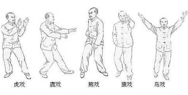 ��٢����Ϸ��Ҫ���� ����Ϸ�������ֶ���