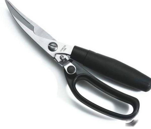 ��а�Ķ�������Щ�Ƚ����� ��а��������10�ֶ���