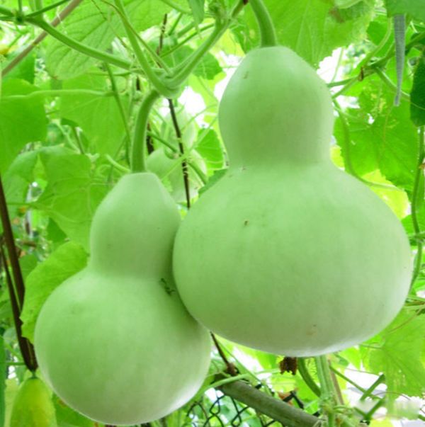 ��а�Ķ�������Щ�Ƚ����� ��а��������10�ֶ���