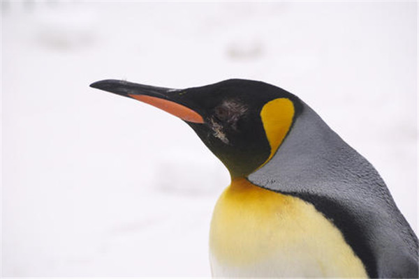 �����������һ�� ����������������