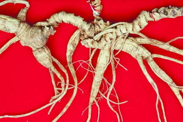 Ŀǰ�����˲�������Ƕ��� ���������ϵ��˲��Ƕ�����