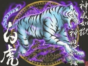 传说中的四大神兽是哪四大神兽 有人拍到了四大神兽的照片