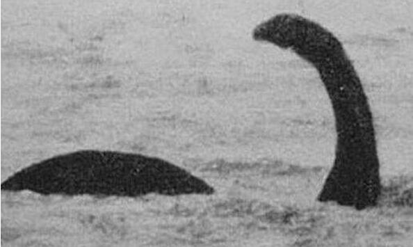 ʮ����ʵ���ڵ�ˮ�� ʷ��ʮ�����ˮ��δ��֮��