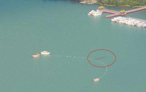 ʮ����ʵ���ڵ�ˮ�� ʷ��ʮ�����ˮ��δ��֮��