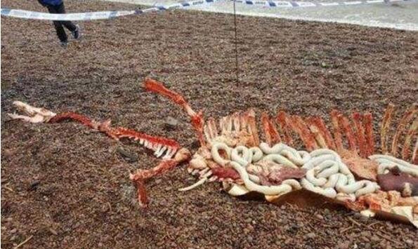 ʮ����ʵ���ڵ�ˮ�� ʷ��ʮ�����ˮ��δ��֮��