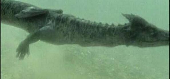 ʮ����ʵ���ڵ�ˮ�� ʷ��ʮ�����ˮ��δ��֮��