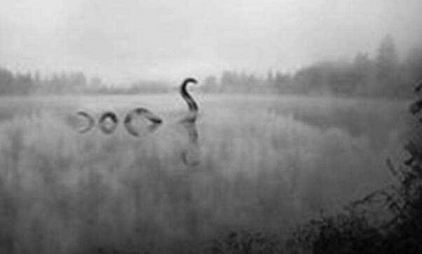 ʮ����ʵ���ڵ�ˮ�� ʷ��ʮ�����ˮ��δ��֮��