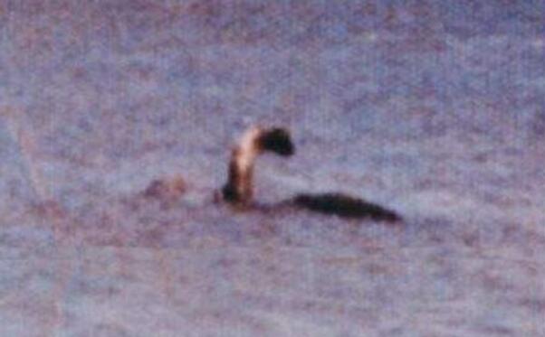 ʮ����ʵ���ڵ�ˮ�� ʷ��ʮ�����ˮ��δ��֮��