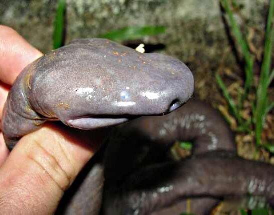 ��������ʲô���� ������������ù�����ʲô