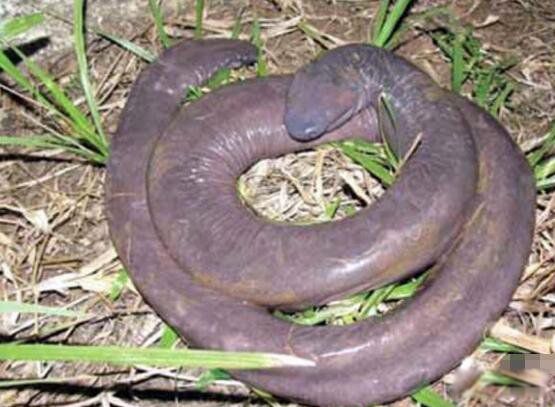 ��������ʲô���� ������������ù�����ʲô