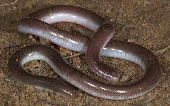 ��������ʲô���� ������������ù�����ʲô