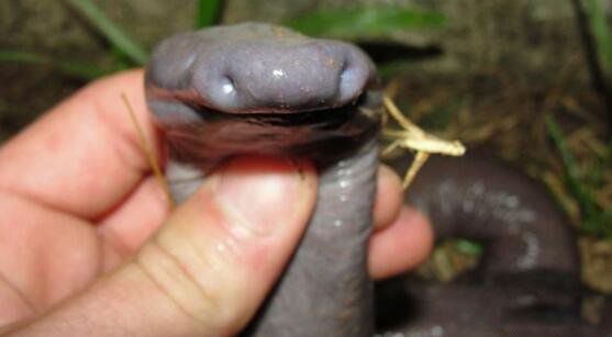 ��������ʲô���� ������������ù�����ʲô