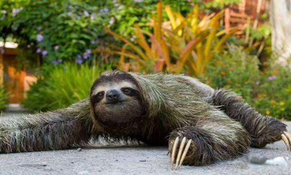 ˮ����������ˮ������� Ϊʲôֻ����ͷ������ˮ