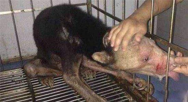 ˮ����������ˮ������� Ϊʲôֻ����ͷ������ˮ