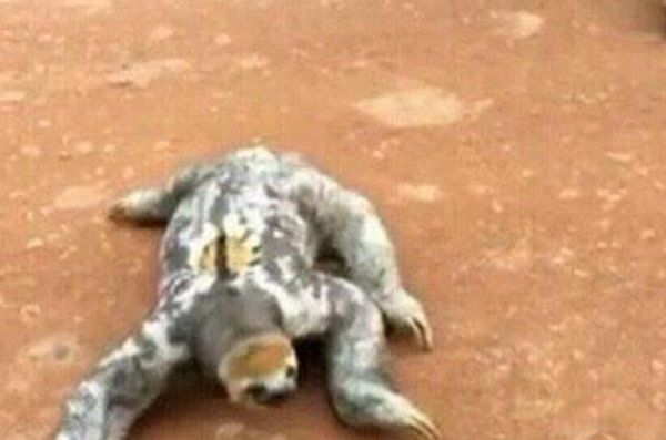 ˮ����������ˮ������� Ϊʲôֻ����ͷ������ˮ