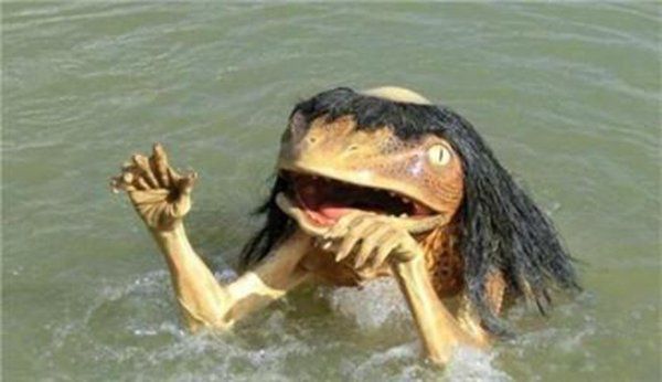 ˮ����������ˮ������� Ϊʲôֻ����ͷ������ˮ