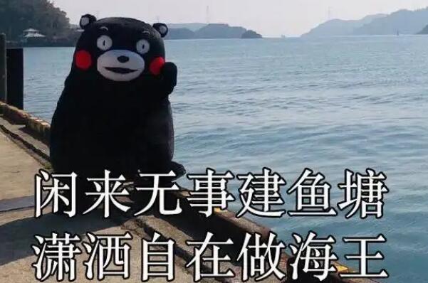 �����Ǹ�ʲô������ʲô��˼ ����ж�һ�������ǲ��Ǻ���