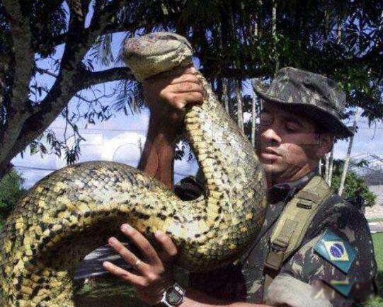 �������������ж����� ȫ������߶�����