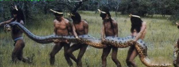 �������������ж����� ȫ������߶�����