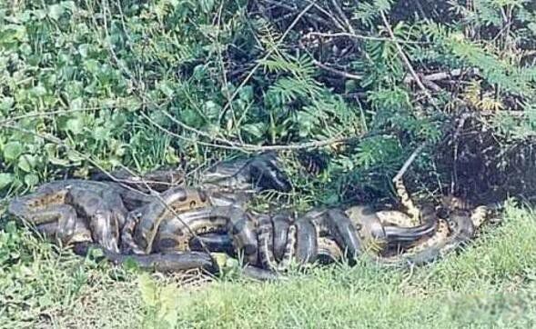 �������������ж����� ȫ������߶�����