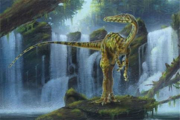 ʲô������������һ�� ��ǿ�������а�ǰʮ��