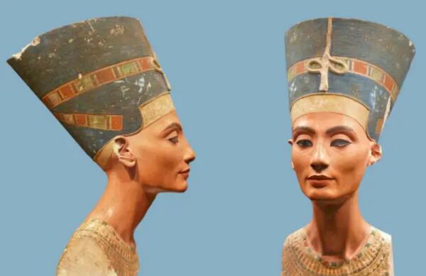 ��ܽ�ٵٽ��� ������Ϊʲôֻ��һֻ����û������