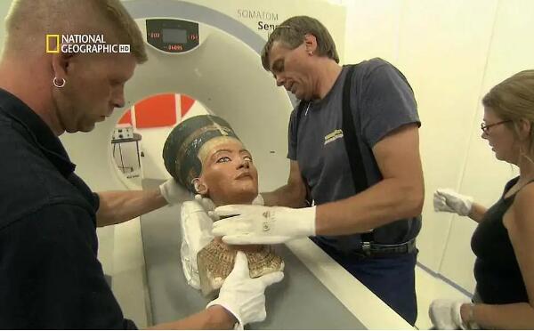 ��ܽ�ٵٽ��� ������Ϊʲôֻ��һֻ����û������