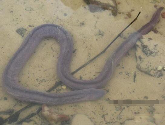 ��������ʲô���� ������������ù�����ʲô