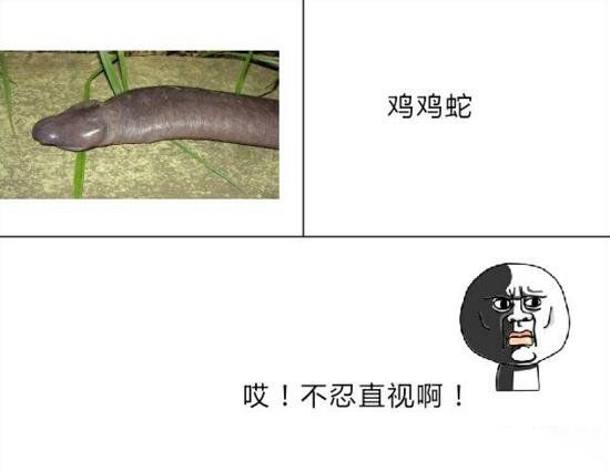 ��������ʲô���� ������������ù�����ʲô