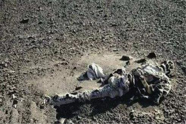 �½�˫�������¼������� �½������˻������