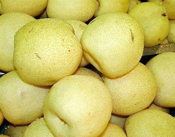 ȥ���ˮ������Щ���׵�ˮ�� ���Ƚⶾ���õ�ʮ��ˮ��