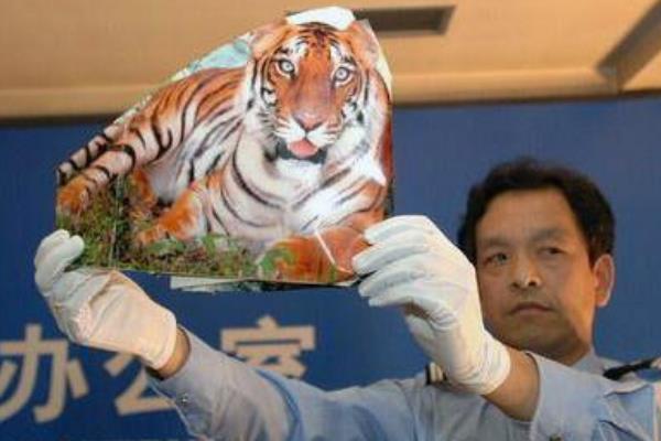 陕西周正龙华南虎事件怎么回事 华南虎事件造假的原因