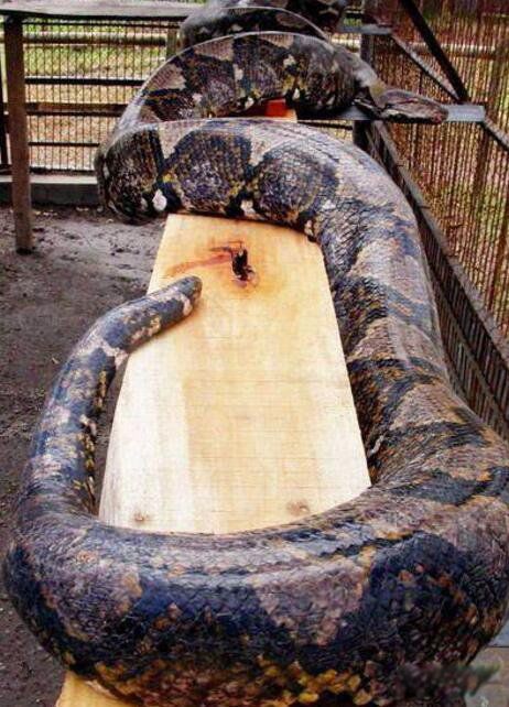 �������������ж����� ȫ������߶�����