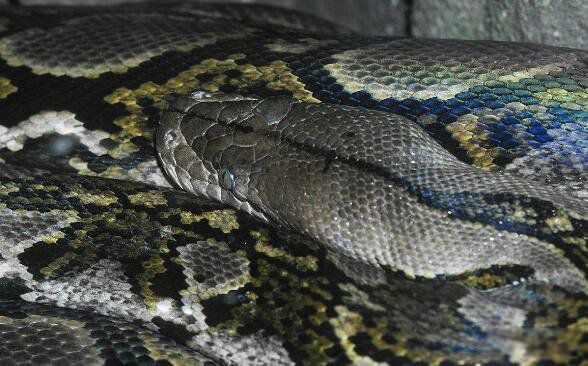 �������������ж����� ȫ������߶�����