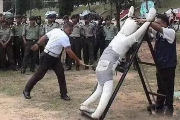 ��������ô���� ʲô����������������