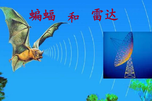 �ɶ��﷢���Ķ�������Щ ���ݶ���ԭ�������Ķ���