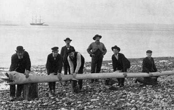 ���ʹ󺣹ֿ���������Ĵ����� ��˵�еĺ���޹�