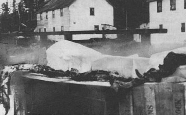 ���ʹ󺣹ֿ���������Ĵ����� ��˵�еĺ���޹�