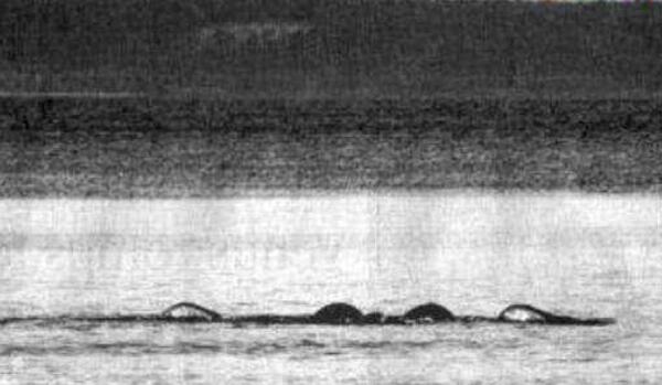 ���ʹ󺣹ֿ���������Ĵ����� ��˵�еĺ���޹�