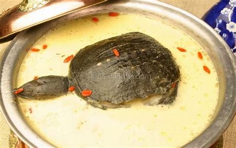 �������Ĳ�������ȫ���� ʲô�ǽ����������