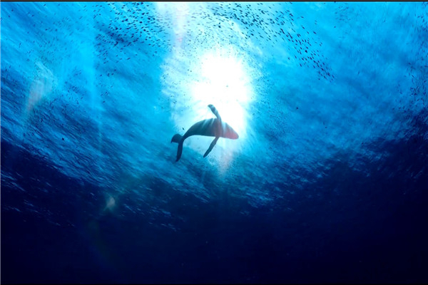 �����ڰ������Ԣ������� ����ʲô������